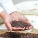 Подушка з гречаною лузгою ORGANIC, молочний, 40х40